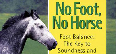 No-Foot-Horse-Soundness-Performance